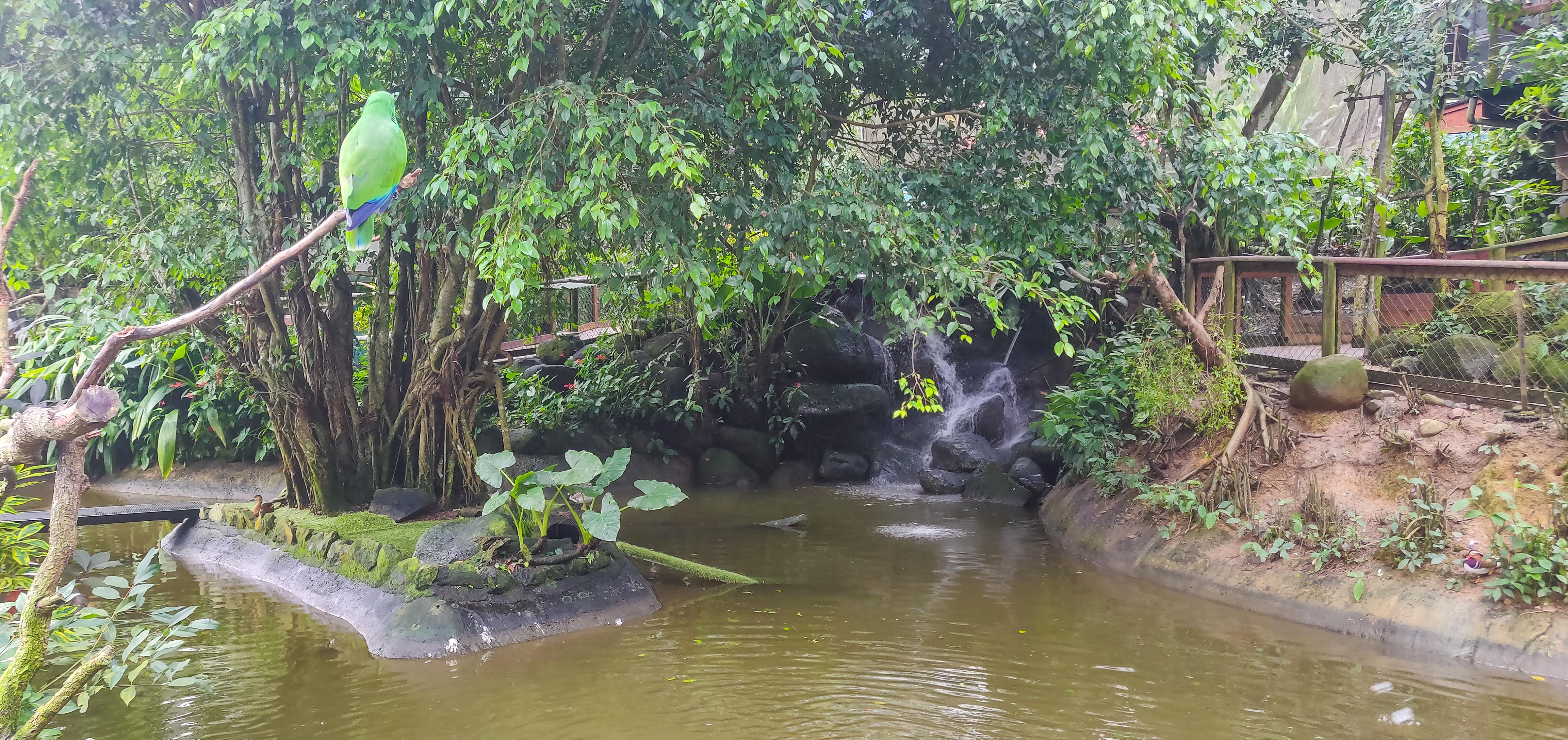 Birdworld Kuranda